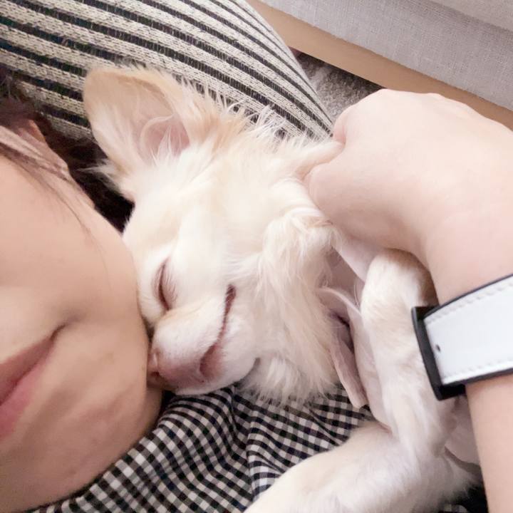 24558759 6f3b 4bf0 a48c 74cb21d30d5f 1749386545970