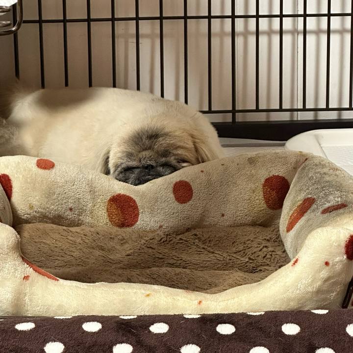 2455b6bd 1387 4e0d 8034 d14f170b9a2a 1736974543717