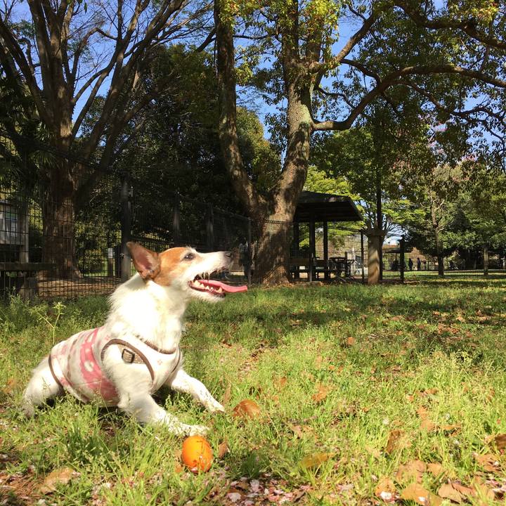 2455b7d4 c5c1 4937 aa86 602327310243 1617837681776