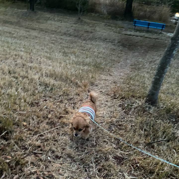 2455ba15 3070 4cc6 817a 32f0a6e1d6fa 1609884508577