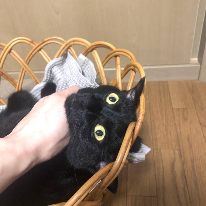 2455e490 4c5b 47c1 8d84 d1b942946693 1631790203303