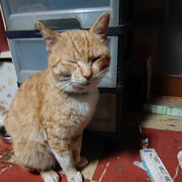 24567b63 c9fe 4801 a515 d72beafd633d 1556395103567