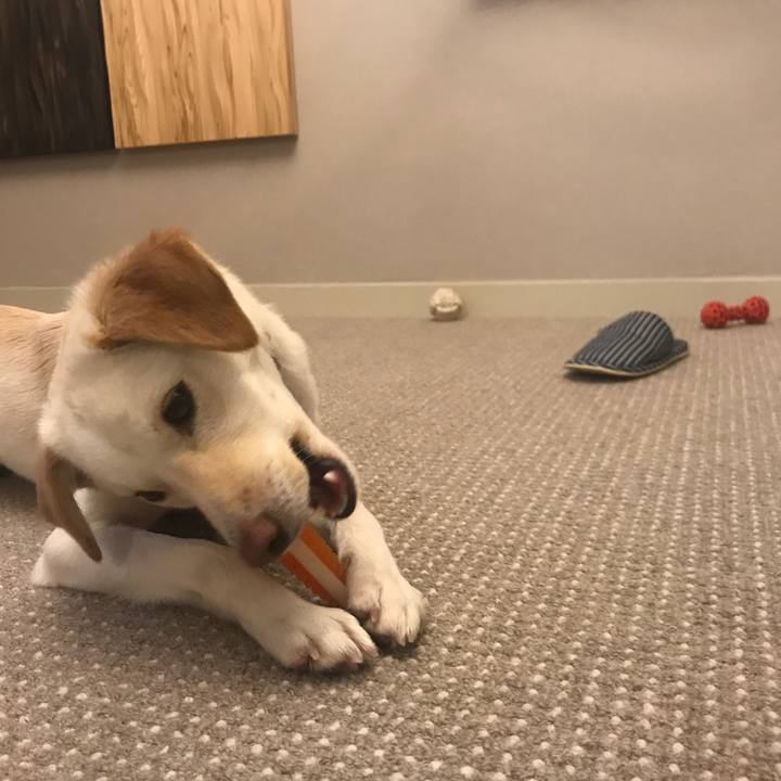 245682fa 7bd1 4e66 b0b0 1a29762adcb1 1520683185111