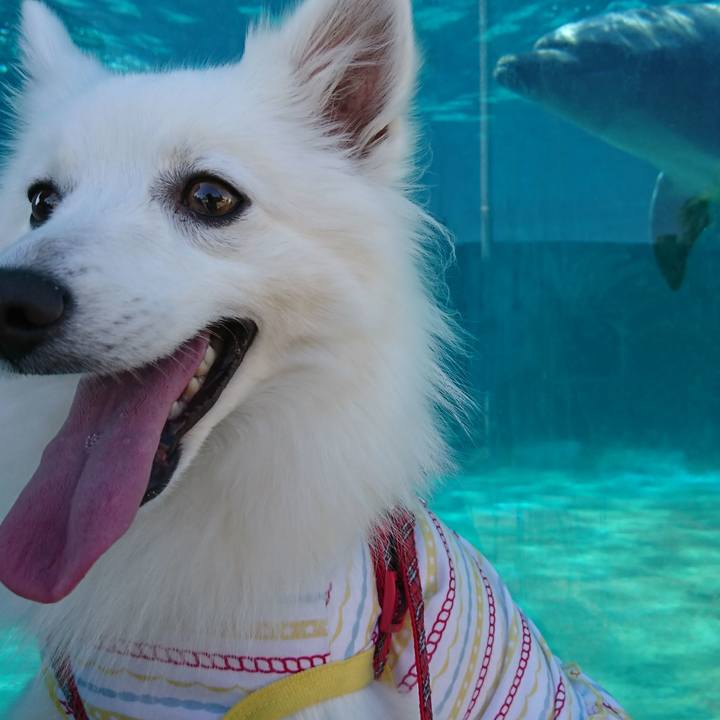 2456f5d2 8d26 4e75 ba72 3ccfe84d7465 1541823870715