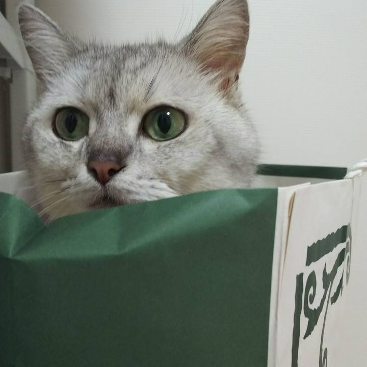 2456f673 4e82 480f 8ac2 54fc7772234b 1534253698751