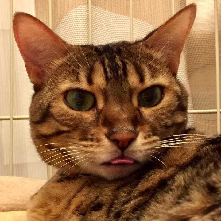 245705fc 48a0 4403 8c0a 29e36225b08b 1542845515500