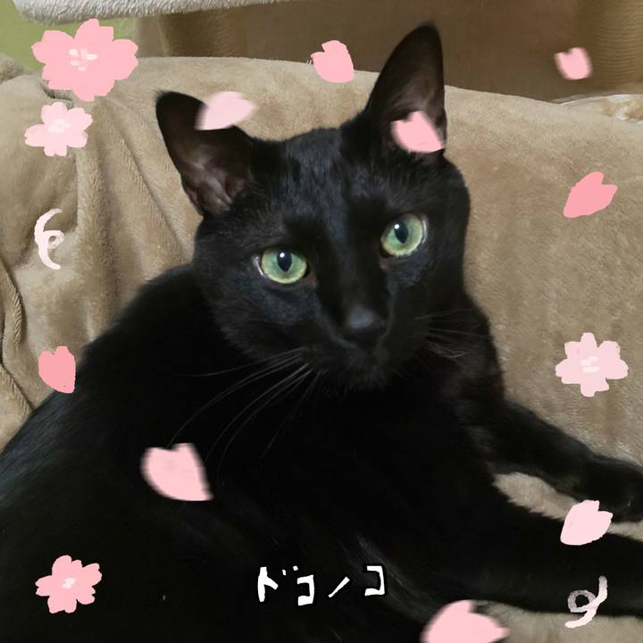 24570e68 75a6 4915 b668 57832f1e6cb6 1744282179278