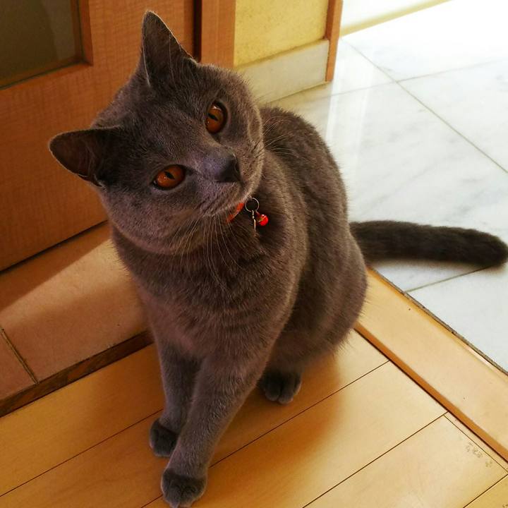 24573530 307a 456e 9433 f5e9d7ec9019 1522641978533