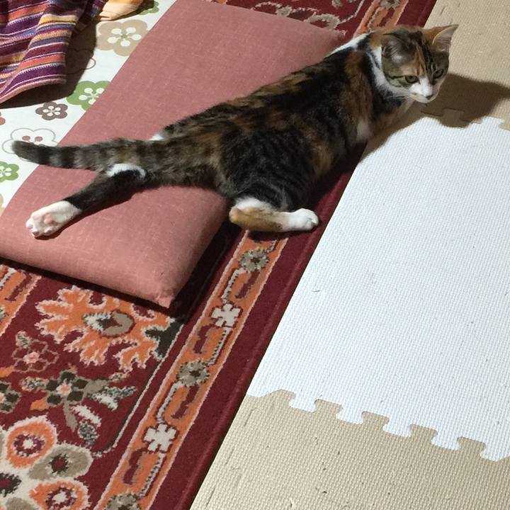 2457599e 3c65 4f19 9d81 1006a2af0e56 1640262762897