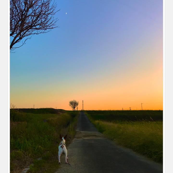 24578acb 27bf 42c4 8eac 0f489a1ab5f4 1509116551778