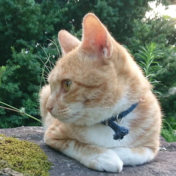 2457972a 9039 4b57 8f8d 3cb0992344dc 1563189444075