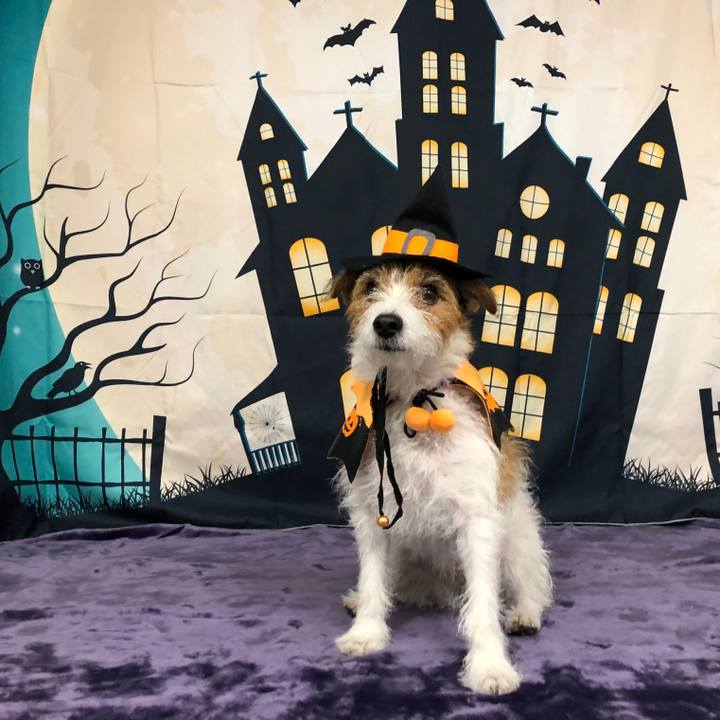 2457c5ee b52f 4da8 9392 e36b2db4d326 1635667385875