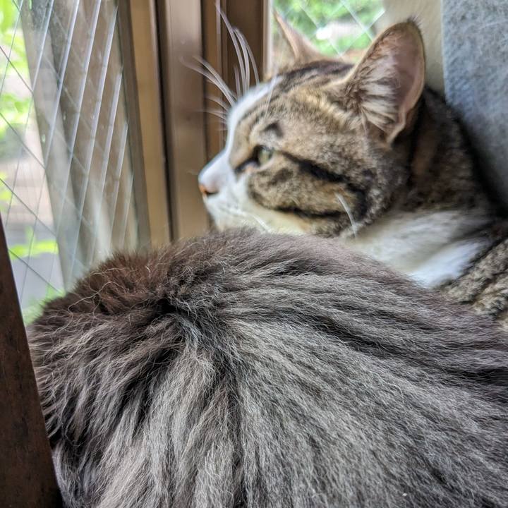 2457ef98 f92f 4233 84fe 66188fb1ac22 1691441427113