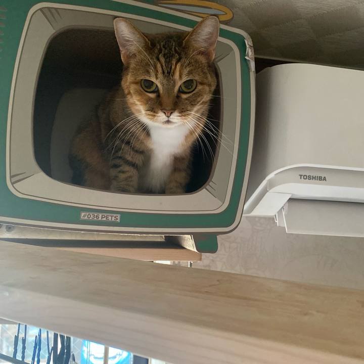 245808cc bc5b 43b8 9f3e 8ac1ab78ec01 1639454723673