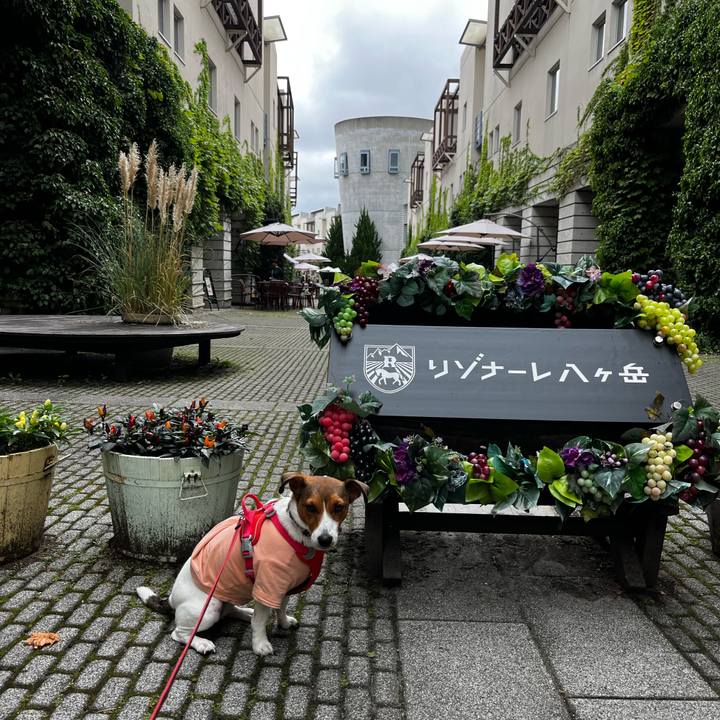 24581158 f0e9 4d32 8665 0074e1fab1bc 1758709096357