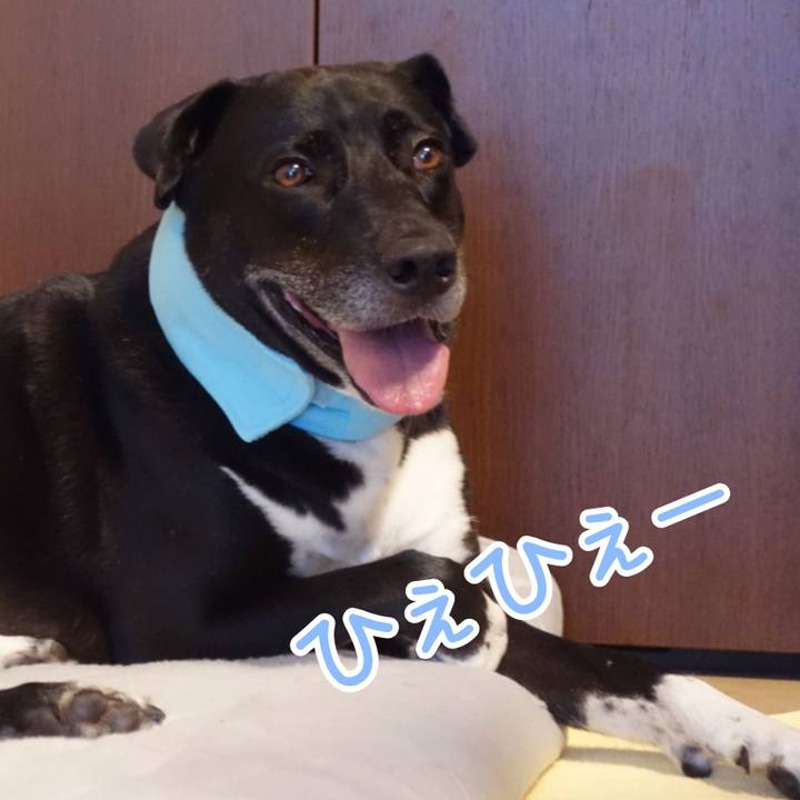 24583468 88f2 4947 9de1 603195bbf0c9 1661558276027