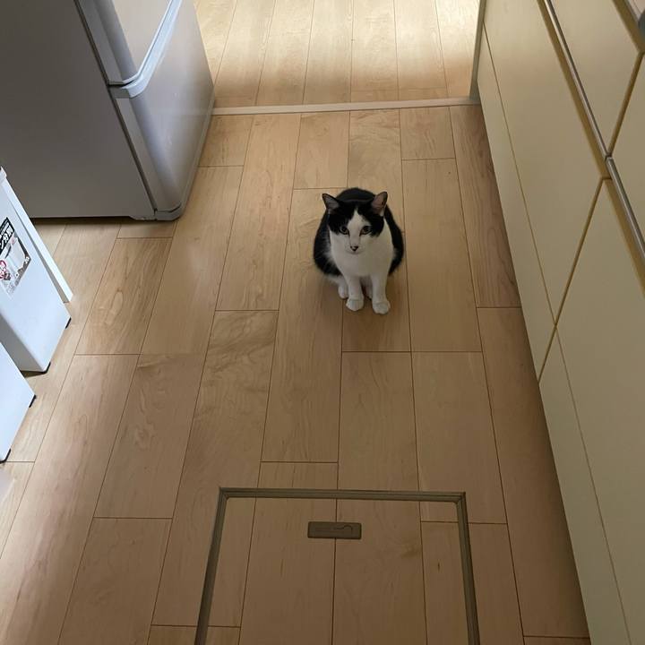 245844f6 28fc 4150 94ed ae4a5e7382dc 1628181945347