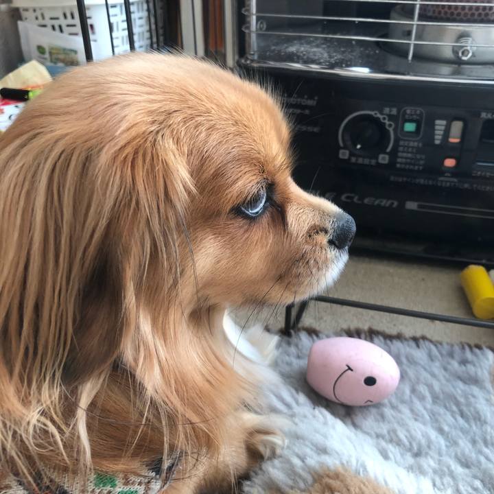 24584bf5 a3a2 40bf 8725 8033629b7757 1546130373717