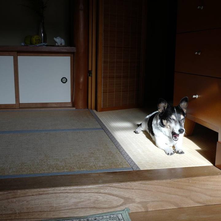 2458677f 4497 42dd b777 29292393eedd 1634791096442