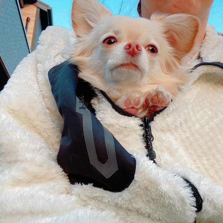 2458e3ee 5f76 433a 814b 67c895a53659 1646954221588