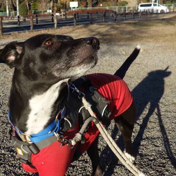 24591c47 2d1d 485b bc0c 9e7e8e63bb28 1642468124995