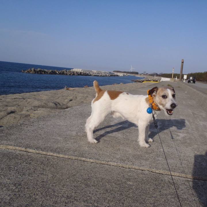 24593577 f308 491a bf47 325bdf6d799d 1522556648225