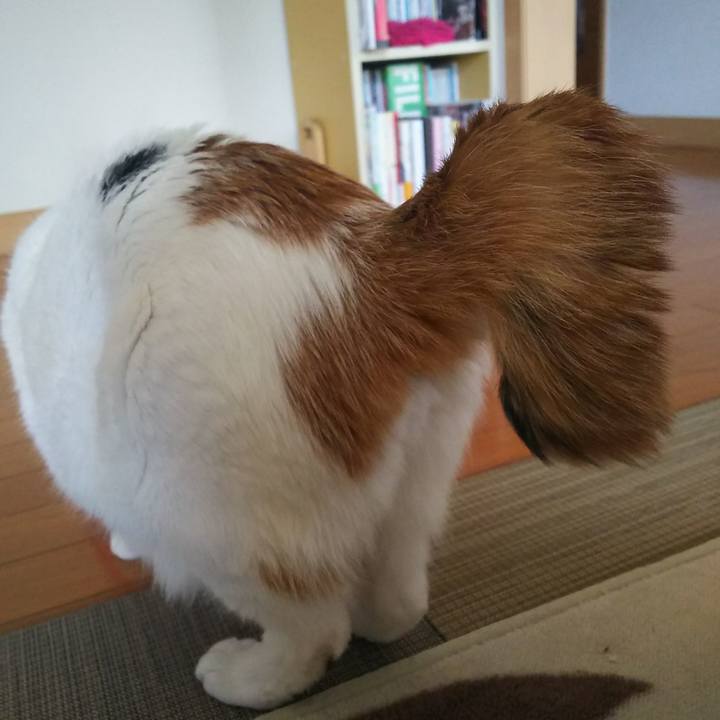 24593aac 9ae9 4147 884a 8e405f2c7175 1574650853571