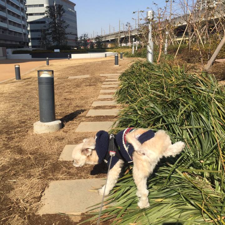 24596168 674d 4b84 9a4d e1a648dd51bf 1548760457839