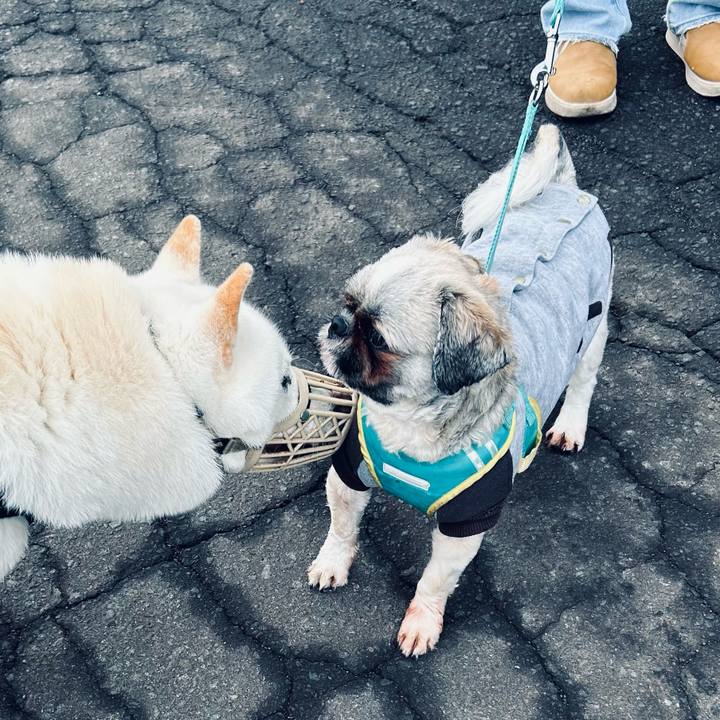 24599700 ca27 4724 b028 3b50e12cceb4 1696890590443