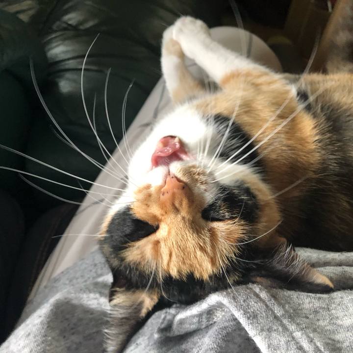 2459bbb4 bb59 4b3b a8ef 5937dbdbeeaa 1555933919019