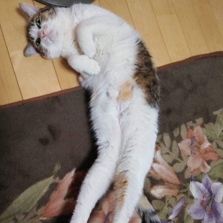 2459d5f3 2bcc 462f bc56 4745fdc7f79f 1612441617020