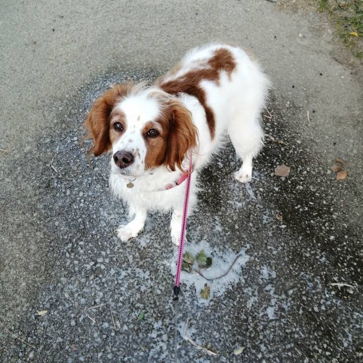 2459f6de f9a5 46fd 9693 b5af7d46552f 1610066127831