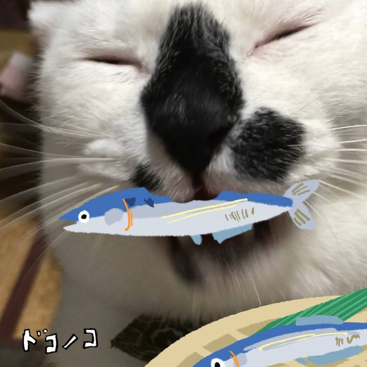 245a00b3 1749 4230 bd97 880d48510f66 1789713916274