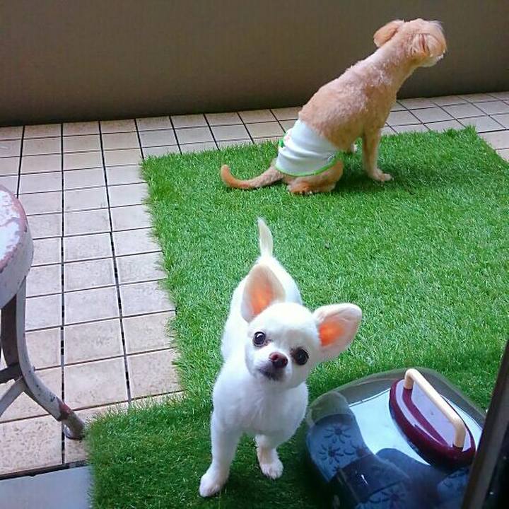 245a0b04 ef8c 488b a582 be1d78655756 1566433037703