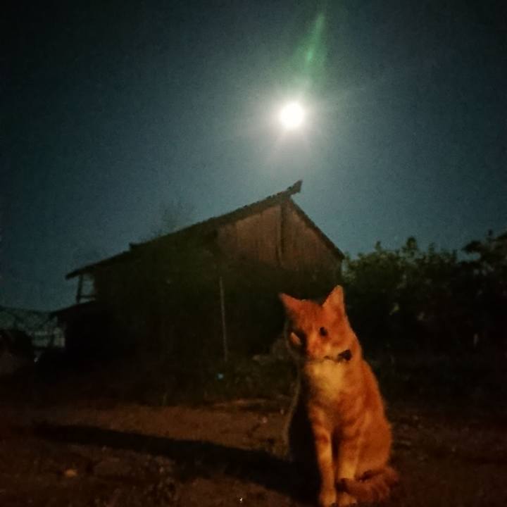 245a2432 e6af 4456 bf0b f797dfa93386 1568375248777