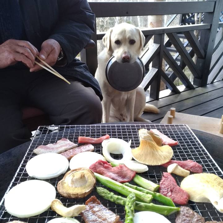 245a2a80 5a70 414a a5a1 3f4d4e61e61e 1620035364244