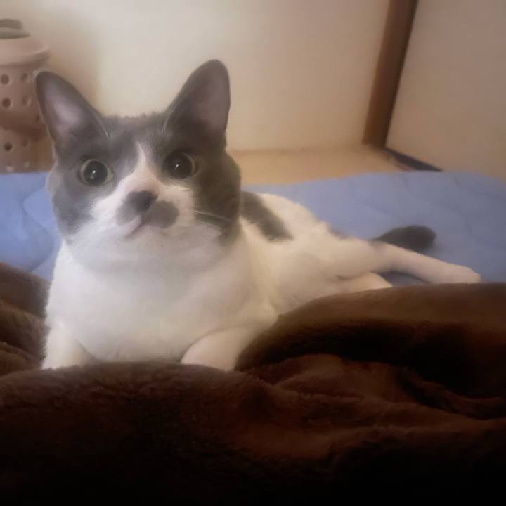 245a3680 2a2a 4fed a840 d9b616e615e6 1632169758779