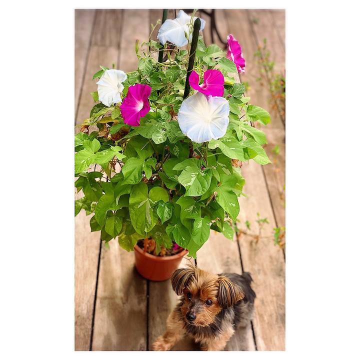 245ab907 869b 49ff b200 e118a3471c98 1630186524514