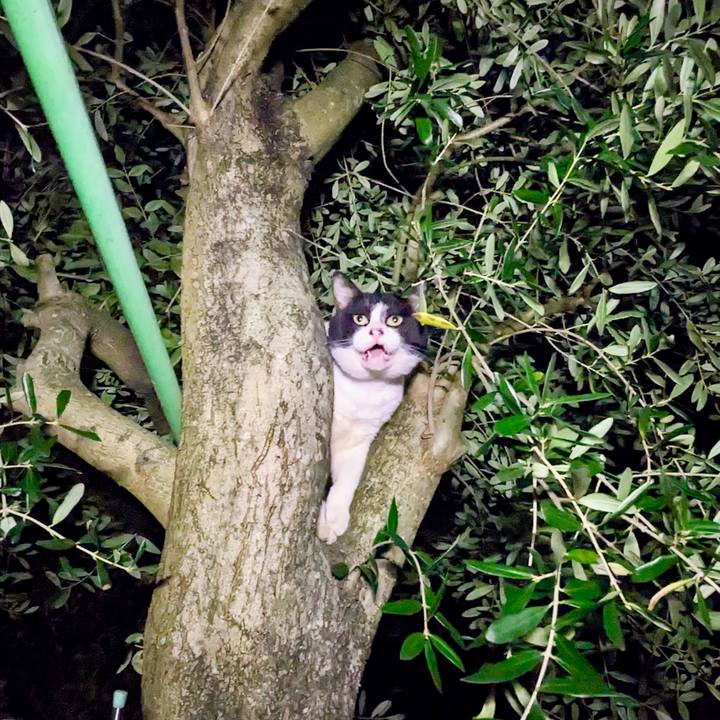 245af677 3b6d 4205 841e 12edfa394222 1758721707441