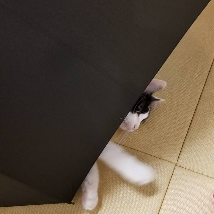 245af8ae 4770 4963 8800 ac826dacb837 1537618740950