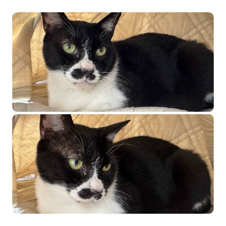 245b4c16 f8b2 4371 8c4b 44a937d7fc7a 1751846882064