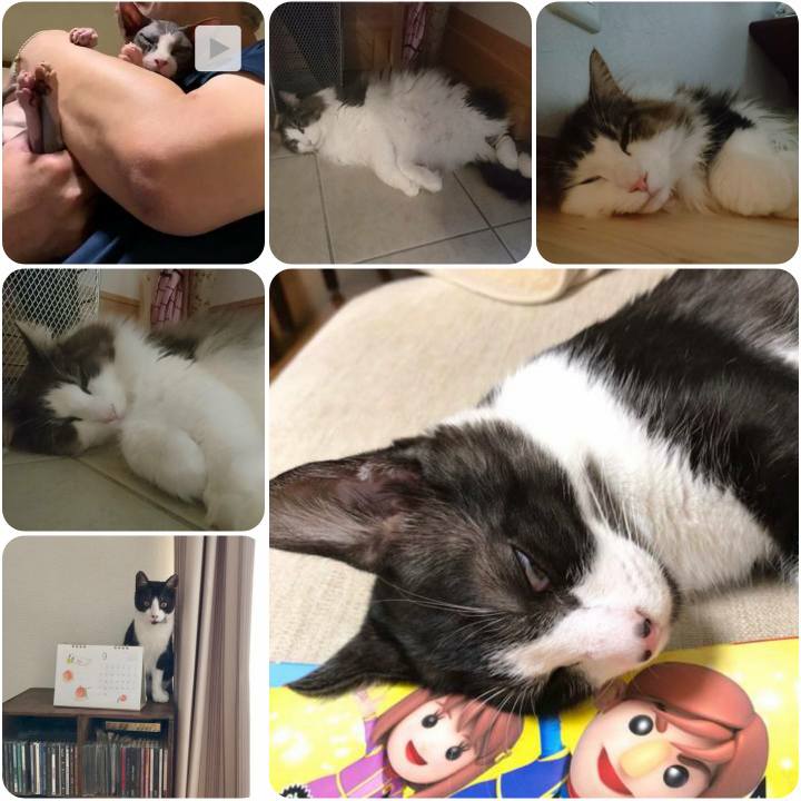 245b4db3 ab38 4d7a a643 e0cb66b8bc24 1567333431624