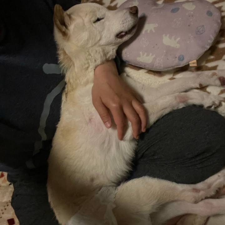 245b5c05 cb30 4355 af15 91c896c921c7 1679842004544