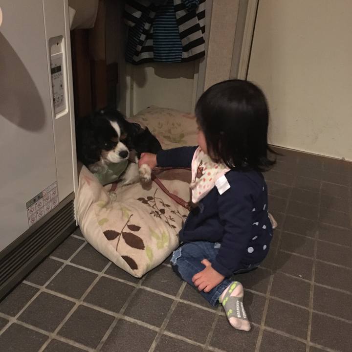 245bad02 427d 4424 a75a cb585c3267e6 1510288434790