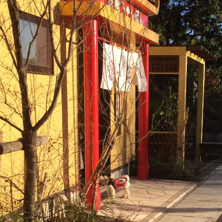 245bde63 5bd5 4a18 9e4a 3cdd427f5c31 1515584862991