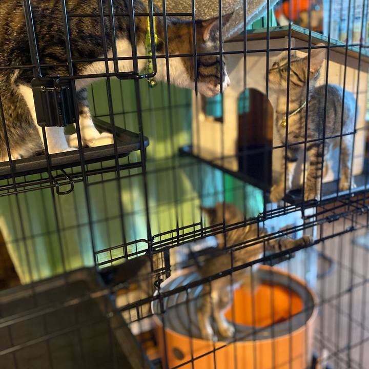 245bf0d7 6551 4927 ad41 b0b5f0c58093 1721730394356