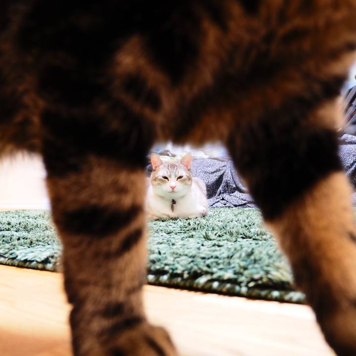 245bfe4d ef37 4010 b20c daad42ac0409 1601956285481