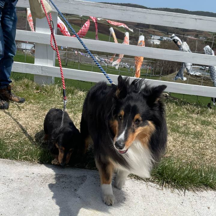 245c164b 66ff 4e4f 8a32 a5254e54cc10 1620095647513