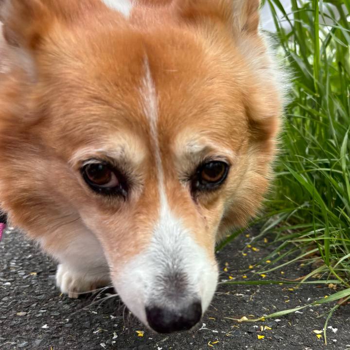 245c6d7f 9ac4 4cb1 a24a 38ddfba03dee 1744939242380