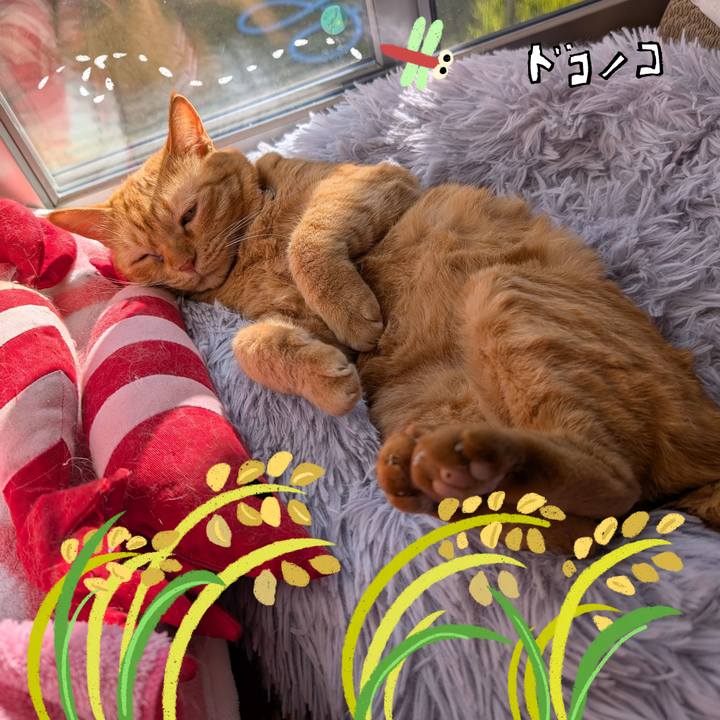 245cce2e d822 428d 84ee 941025d4d770 1762776608242